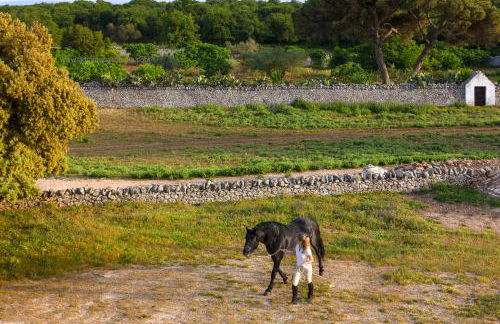 Masseria Tagliente - Foto 41