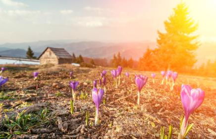 Vital Lodge Allgäu - Foto 24