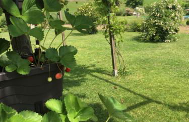 Eifel-Moezelhuis - Foto 46