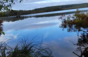 Studio cosy proche lac et centre ville - Foto 17