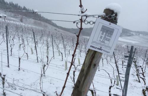 SYBILLE KUNTZ Weingut Gästehaus - Foto 27