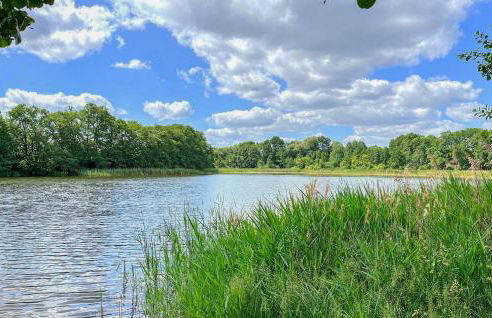 Ferienwohnung Hohen Wangelin - Foto 29