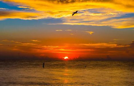 Coastal Retreat 4 Rooms Close To Clearwater & IRB - Foto 37