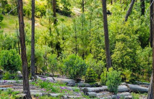 Lakeview Haven - Boat Slip - Dog Friendly - Sleeps 16 - Foto 43