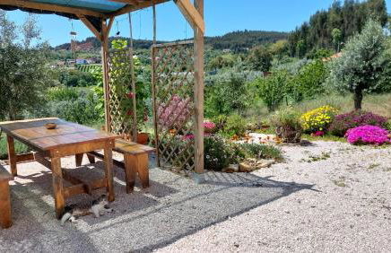 Quinta De Oliveiras - Foto 38