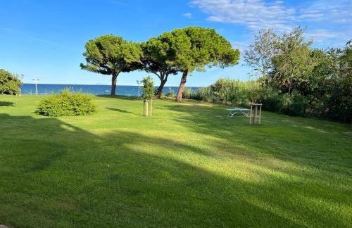 Appartement n 79 Moriani plage - Foto 55