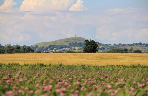 No 96 Chapel Lane - Self Contained Cottage In The Heart Of Butleigh - Photo 41