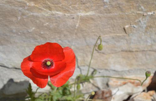 Summer House Krištof - Photo 44