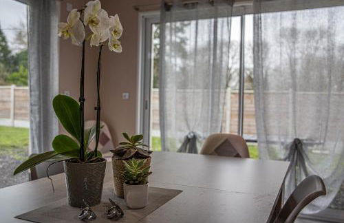 Kokana modern holiday home - Foto 39