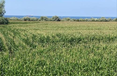 Ostseeblick Apartmenthaus im Ostseebad Nienhagen - Foto 8