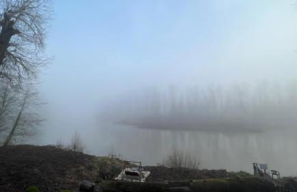 Blue Heron Sanctuary & Serene, river-front cottage - Foto 53