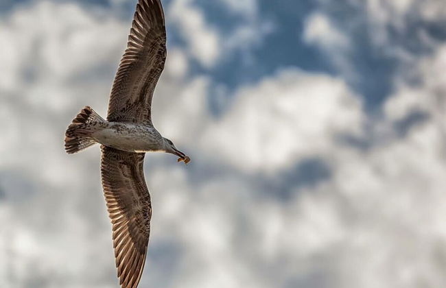 3 at House "pop" - Foto 9