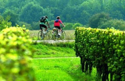 Villa Habana - Foto 54