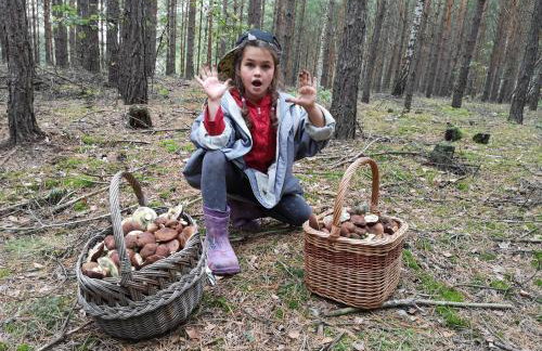 Agroturystyka PLENER - Foto 50