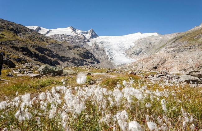 Apartment Alpine Classic-formerly TUI Ferienhaus - Foto 34