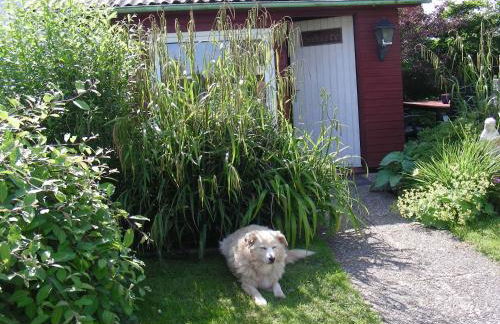 Ferienwohnung Kreider - Foto 29