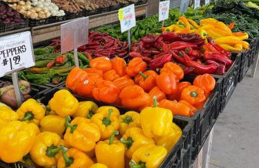 Sandy Shores - Foto 30