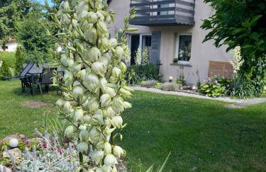 Apartament Górski Reset - Foto 15