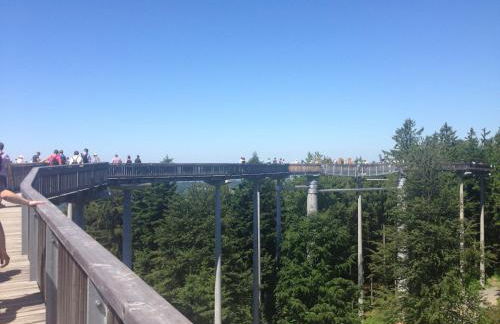 Ferienhaus in Rinchnach am Arbersee - Foto 20