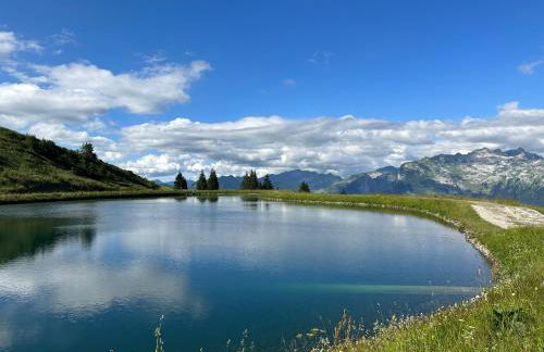 Arve et Giffre Samoens 1600 - Photo 10