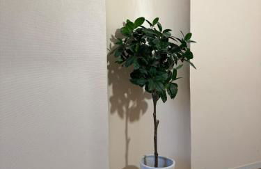 Suite EVASIO, au pied du château fort, parking privé - Foto 35