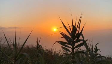 Vivienda vacacional Las Cañas - Foto 2
