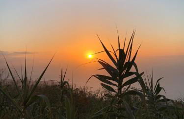 Vivienda vacacional Las Cañas - Foto 2