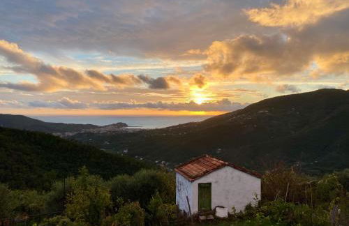 La Collina sul Mare - Casa Vacanze - Foto 29