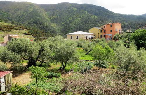 CREUZA DE 5 TERRE - Foto 9