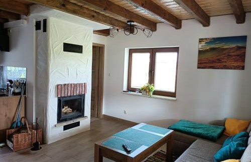 Domki Bieszczadzka Chata - Photo 4