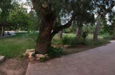 Villa Lago 2 - Photo 17