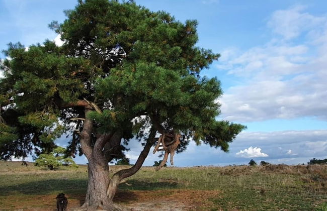 Holiday Home in Hattemerbroek With Smart TV - Photo 33