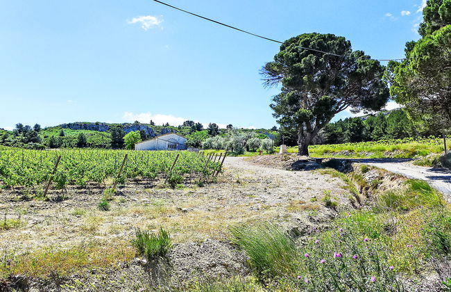 Les Vendanges - Foto 19