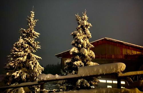 Oberprantschöllhof - Horse Mountain Stable - Foto 25