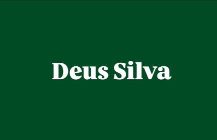 Deus silva - Photo 2