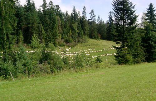 Domek pod Majową Górą - Foto 22