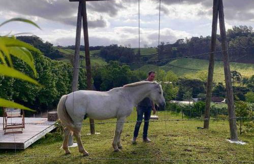 Casa na árvore com banheira, piscina, trilha, cavalo - Foto 6