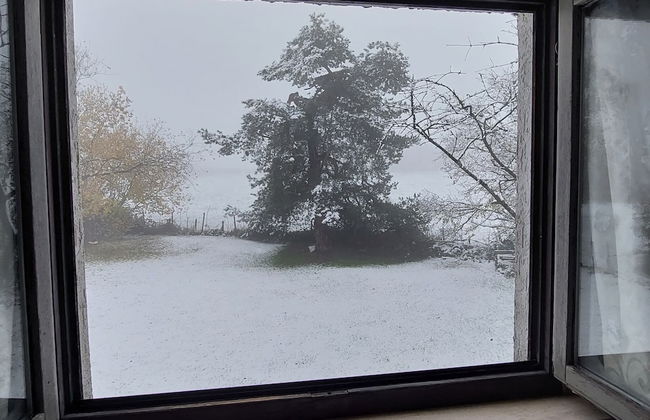 Holiday Home 'ardennes Blue' in Theux Near Spa - Photo 39