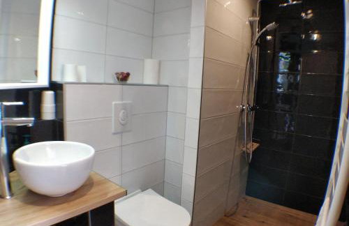 Maison des écluses Strasbourg F3 90m2 Jacuzzi Climatisation - Foto 13
