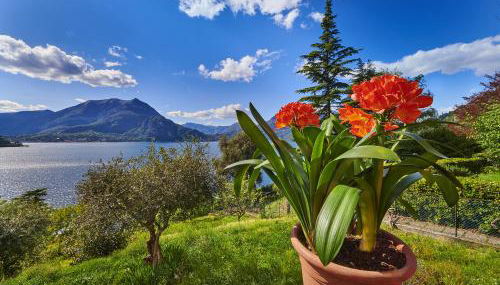 Casa Clivia - Foto 4