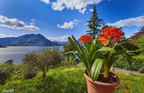 Casa Clivia - Foto 4