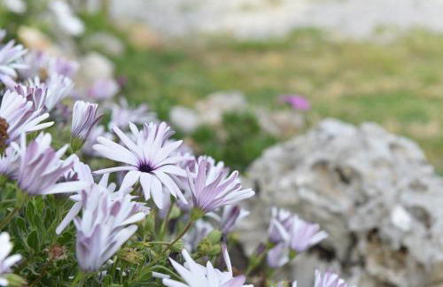 Villa Archontissa - Photo 40