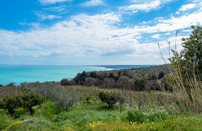 La Conchiglia dei Sogni - Foto 25