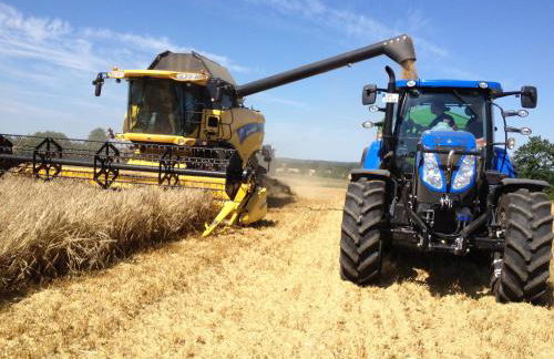 Ferienwohnung 1 Hof Flüh - Foto 16