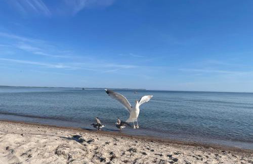 Ein-Steinwurf-zum-Ostseestrand-Ferienwohnung-Martha-mit-Terrasse - Foto 34