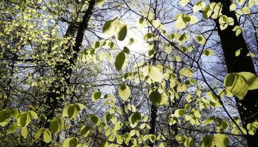 Ferienwohnung zur Erlebnisschmiede - Foto 3