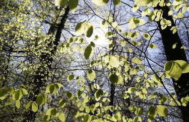 Ferienwohnung zur Erlebnisschmiede - Foto 3