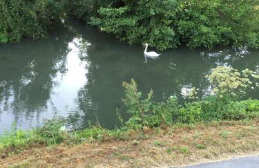 Relais Venise verte - Foto 35