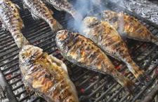 Apartmani Dejan - Photo 27