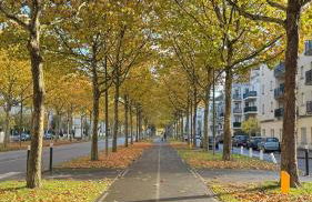 Paris Home - Foto 11